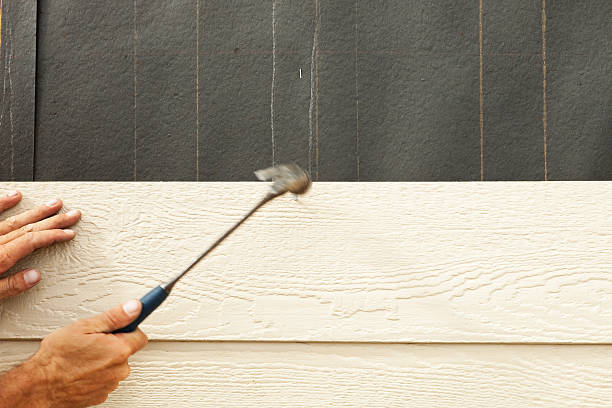 Best Stucco Siding  in USA